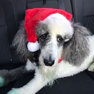 Meet your Posher, Crystal